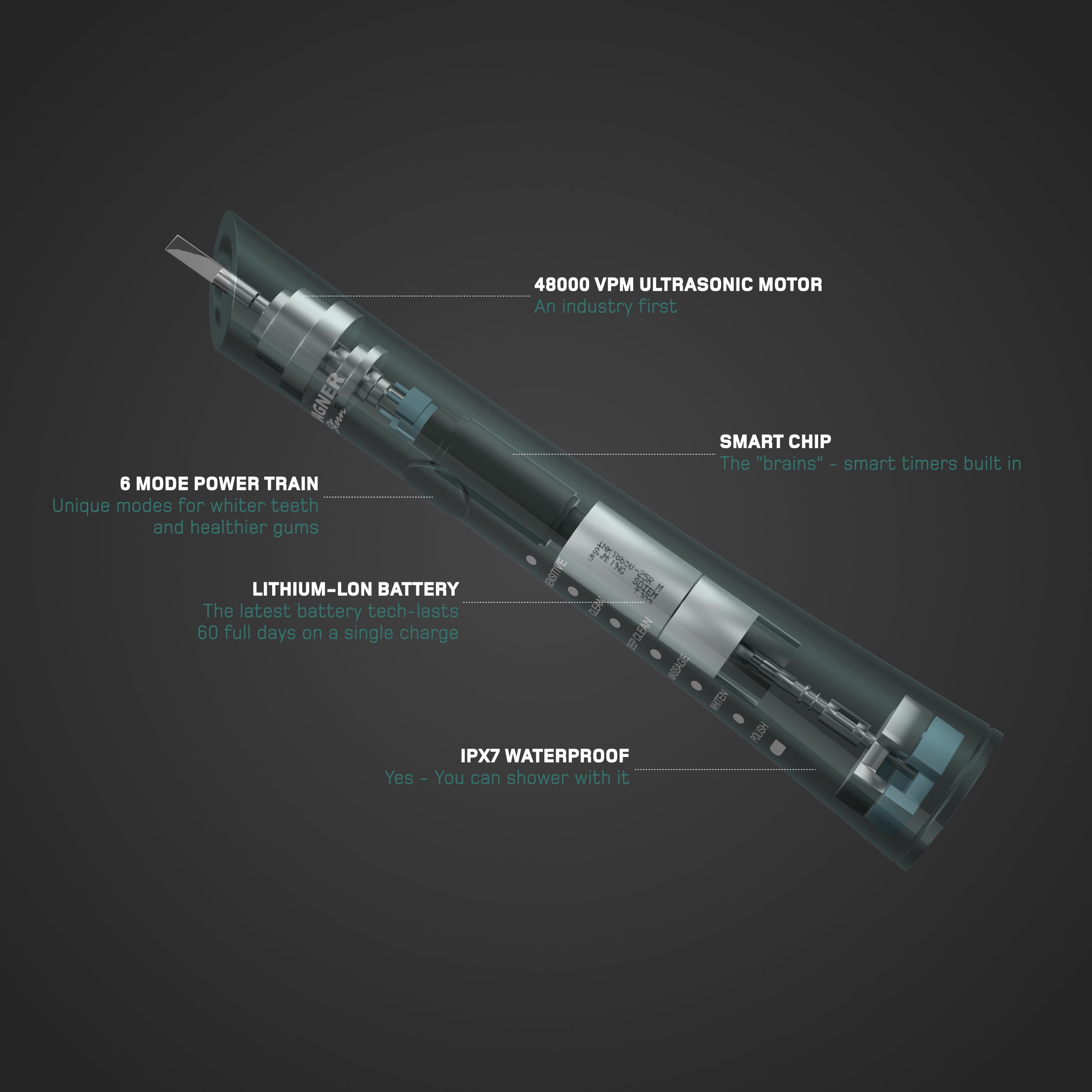 Wagner & Stern ultrasonic whitening Electric Toothbrush with 8 Charcoal Black Brush Heads. for Fresh Breath & Healthy Smile. (Green)