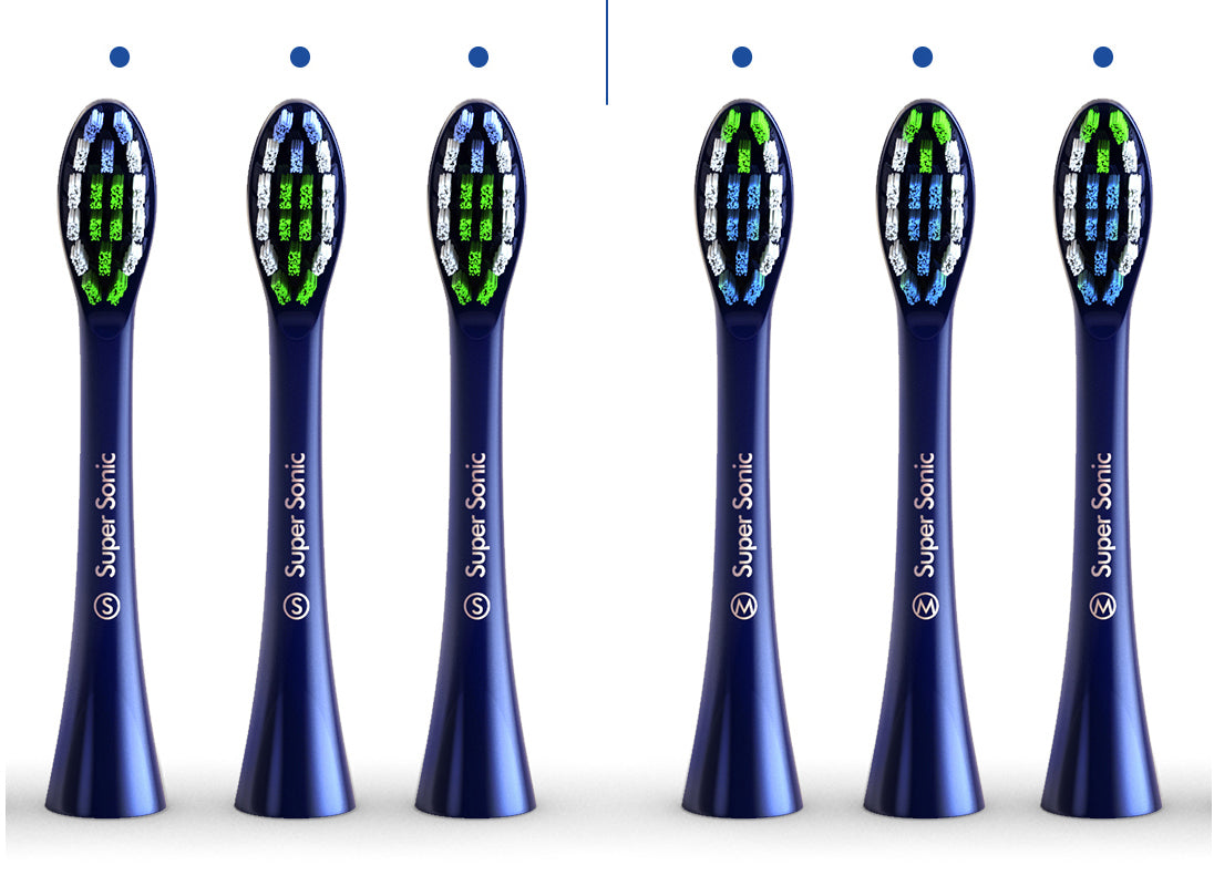 Replacement Brush Heads for Wagner & Stern and Wagner Switzerland toothbrushes.Whiten+ Edition, WT8800 Series and Duette series only. (Blue)